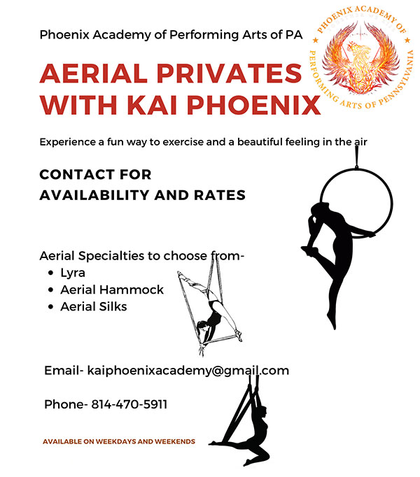 Aerial Private Circus Arts with Kai Phoenix